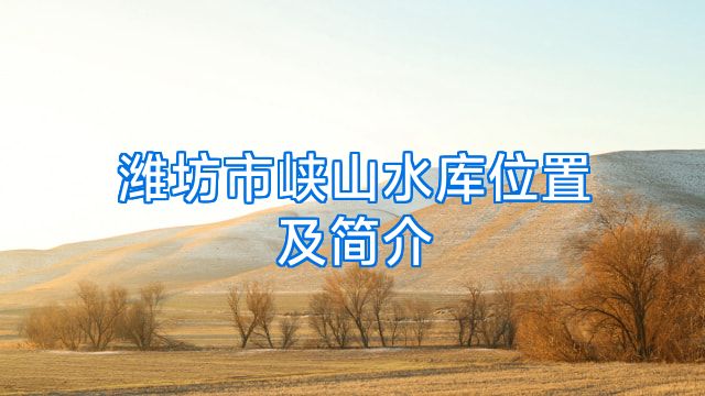 潍坊市峡山水库位置及简介