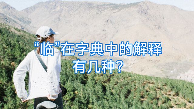 “临”在字典中的解释有几种?