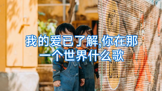 我的爱已了解,你在那一个世界什么歌