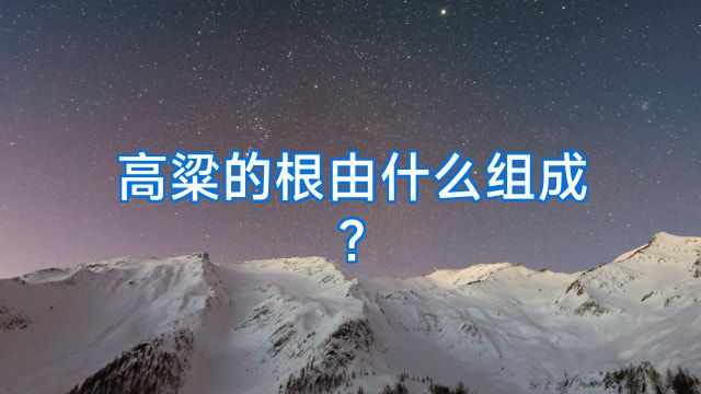 高粱的根由什么组成?