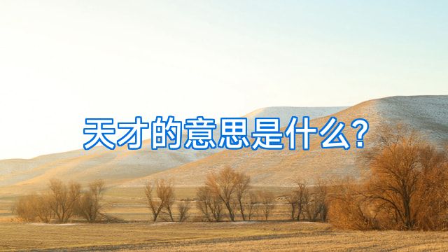 天才的意思是什么?