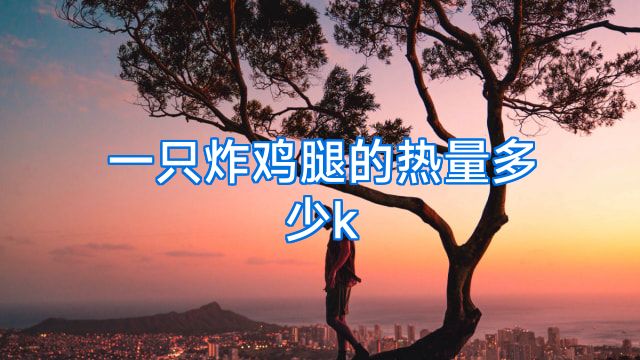 一只炸鸡腿的热量多少k