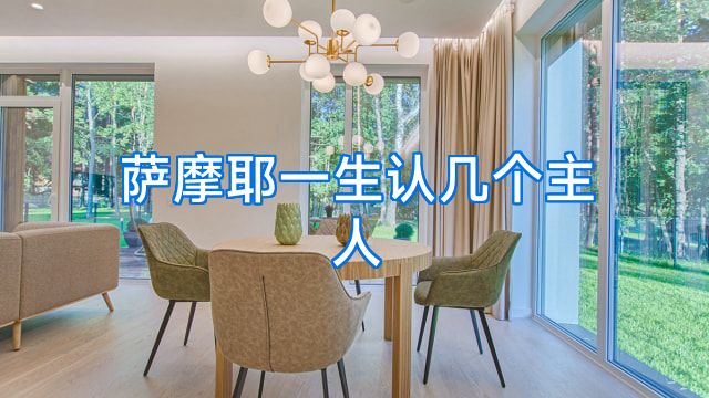 萨摩耶一生认几个主人