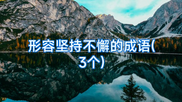 形容坚持不懈的成语(3个)