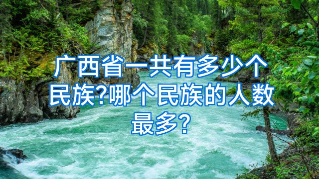 广西省一共有多少个民族?哪个民族的人数最多?