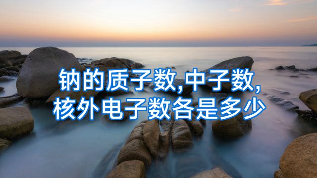 钠的质子数,中子数,核外电子数各是多少