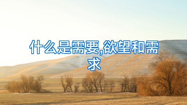 什么是需要,欲望和需求