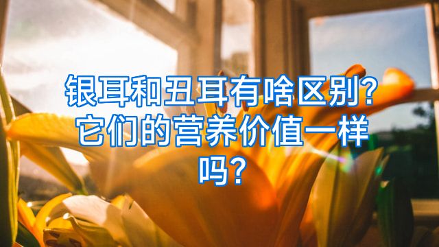银耳和丑耳有啥区别?它们的营养价值一样吗?