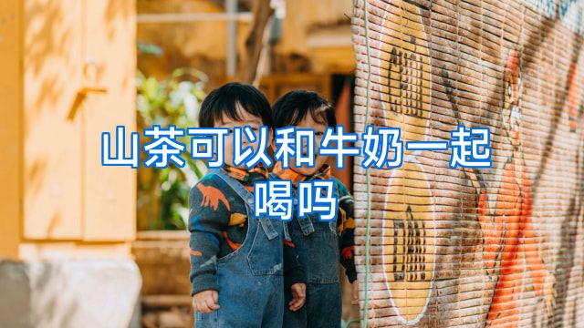 山茶可以和牛奶一起喝吗