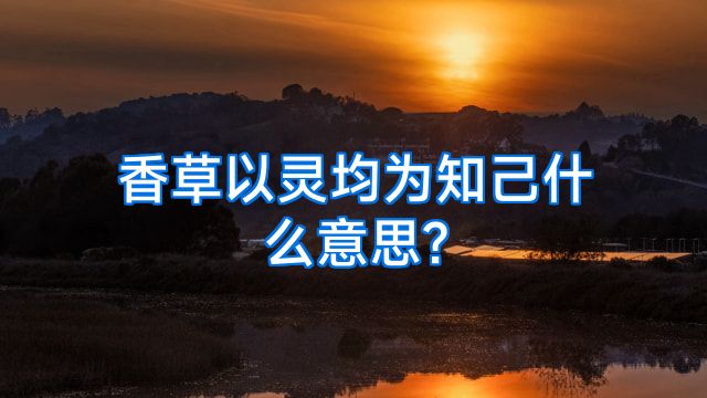 香草以灵均为知己什么意思?