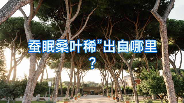 蚕眠桑叶稀”出自哪里?