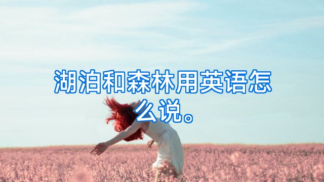 湖泊和森林用英语怎么说。