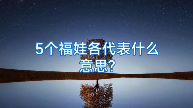 5个福娃各代表什么意思?