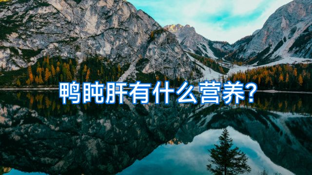 鸭盹肝有什么营养?