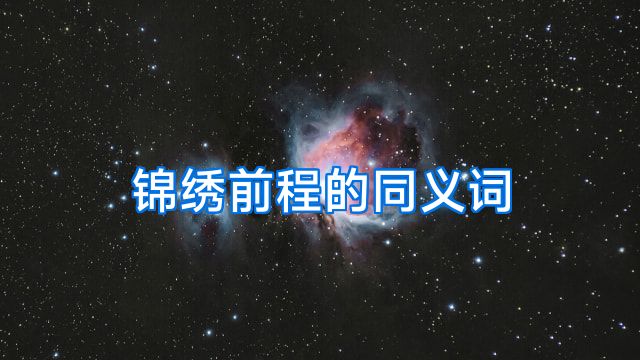锦绣前程的同义词