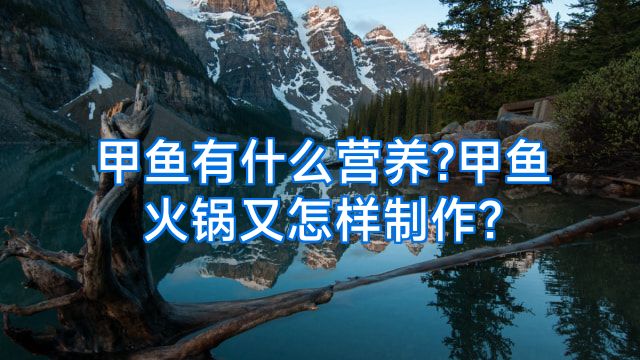 甲鱼有什么营养?甲鱼火锅又怎样制作?