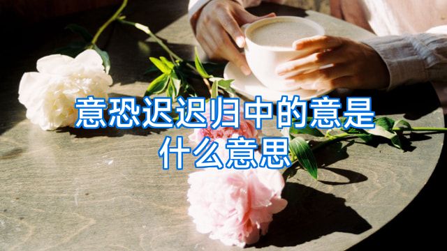 意恐迟迟归中的意是什么意思