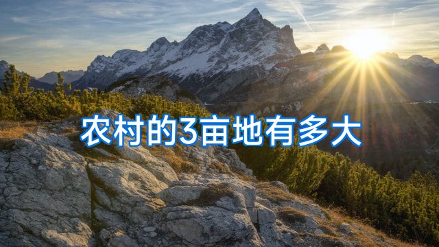 农村的3亩地有多大