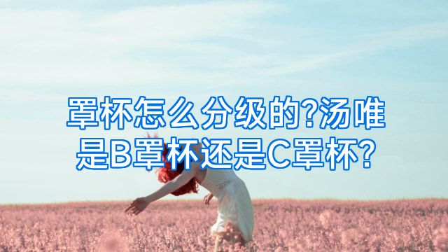 罩杯怎么分级的?汤唯是B罩杯还是C罩杯?