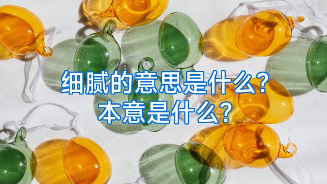 细腻的意思是什么?本意是什么?