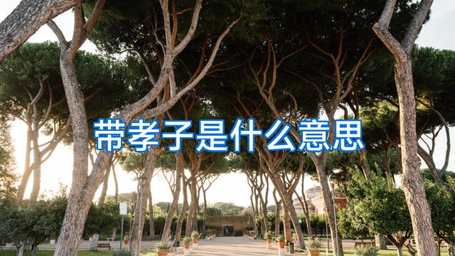 带孝子是什么意思