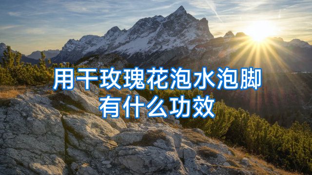 用干玫瑰花泡水泡脚有什么功效