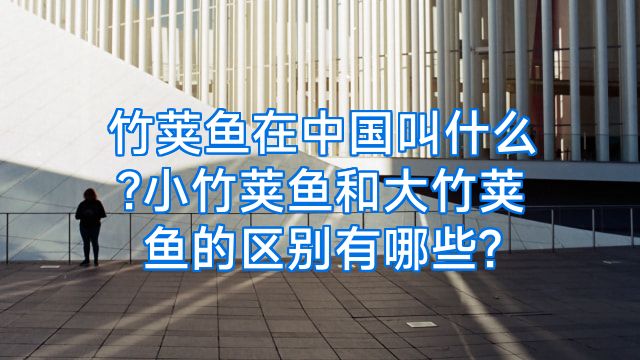 竹荚鱼在中国叫什么?小竹荚鱼和大竹荚鱼的区别有哪些?