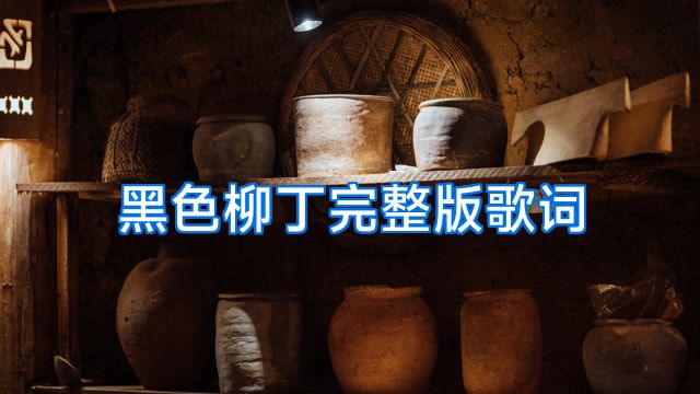 黑色柳丁完整版歌词