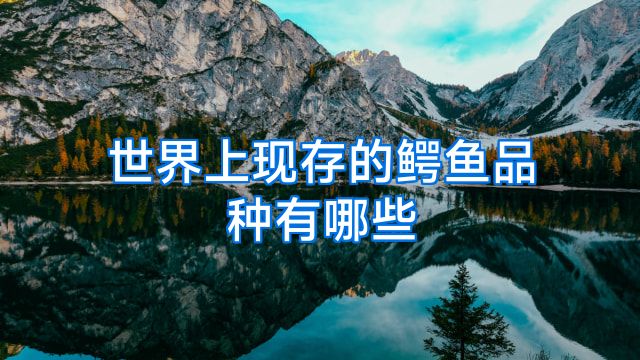 世界上现存的鳄鱼品种有哪些