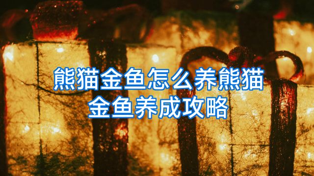熊猫金鱼怎么养熊猫金鱼养成攻略