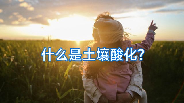 什么是土壤酸化?