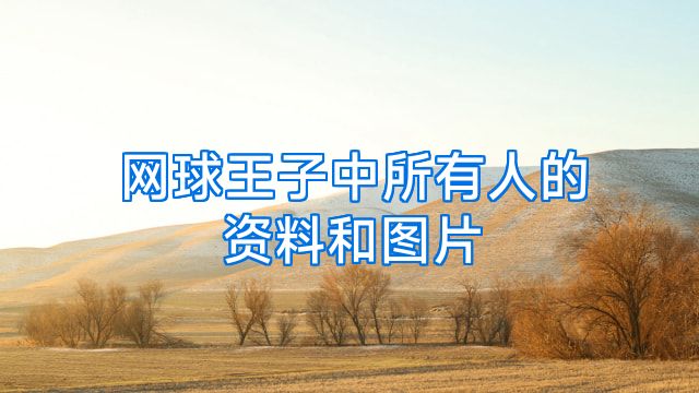 网球王子中所有人的资料和图片