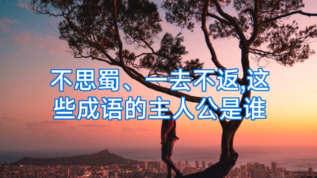 不思蜀、一去不返,这些成语的主人公是谁