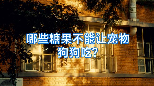 哪些糖果不能让宠物狗狗吃?