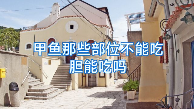 甲鱼那些部位不能吃胆能吃吗