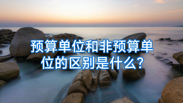 预算单位和非预算单位的区别是什么?