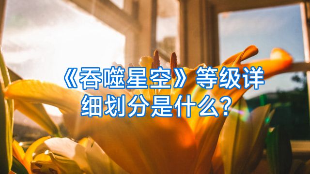 《吞噬星空》等级详细划分是什么?