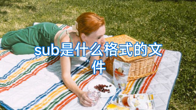sub是什么格式的文件
