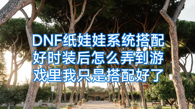 DNF纸娃娃系统搭配好时装后怎么弄到游戏里我只是搭配好了