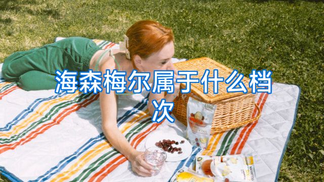 海森梅尔属于什么档次