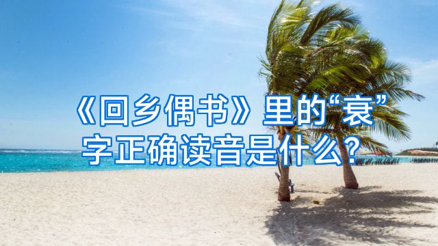 《回乡偶书》里的“衰”字正确读音是什么?