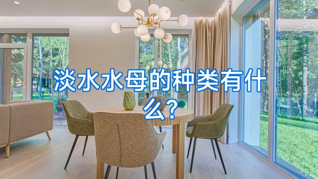 淡水水母的种类有什么?