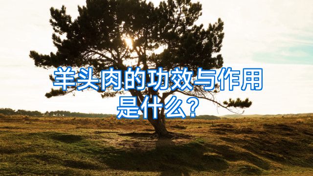 羊头肉的功效与作用是什么?