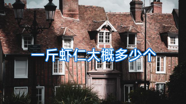 一斤虾仁大概多少个