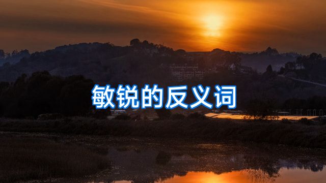 敏锐的反义词