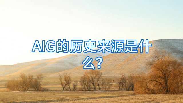 AIG的历史来源是什么?