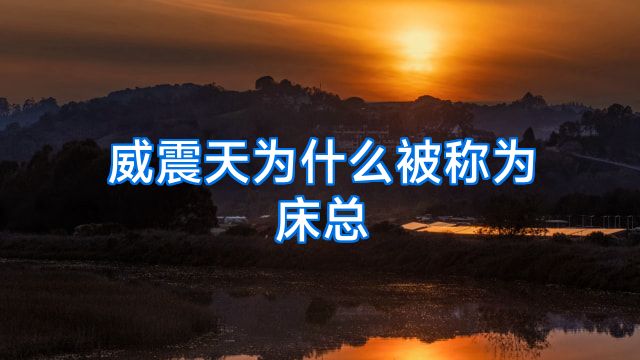 威震天为什么被称为床总