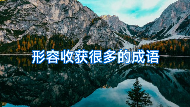 形容收获很多的成语