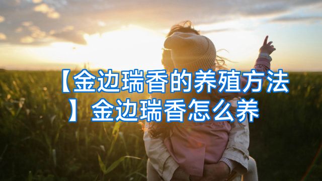 【金边瑞香的养殖方法】金边瑞香怎么养