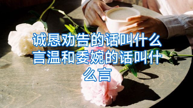 诚恳劝告的话叫什么言温和委婉的话叫什么言